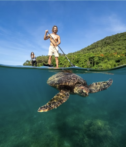 SUP Board Hire 